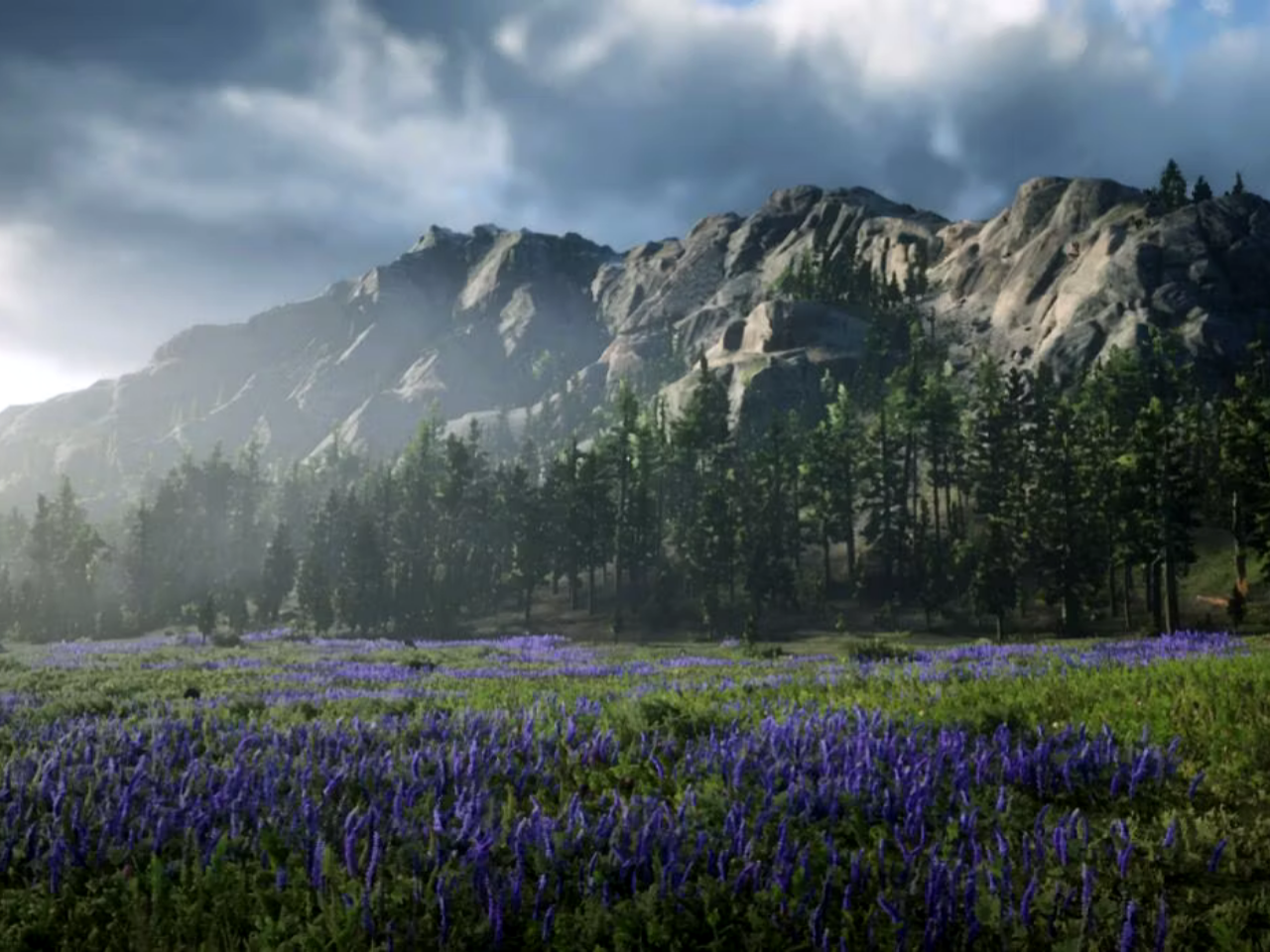 A picture depicting the stunning visuals of RDR2