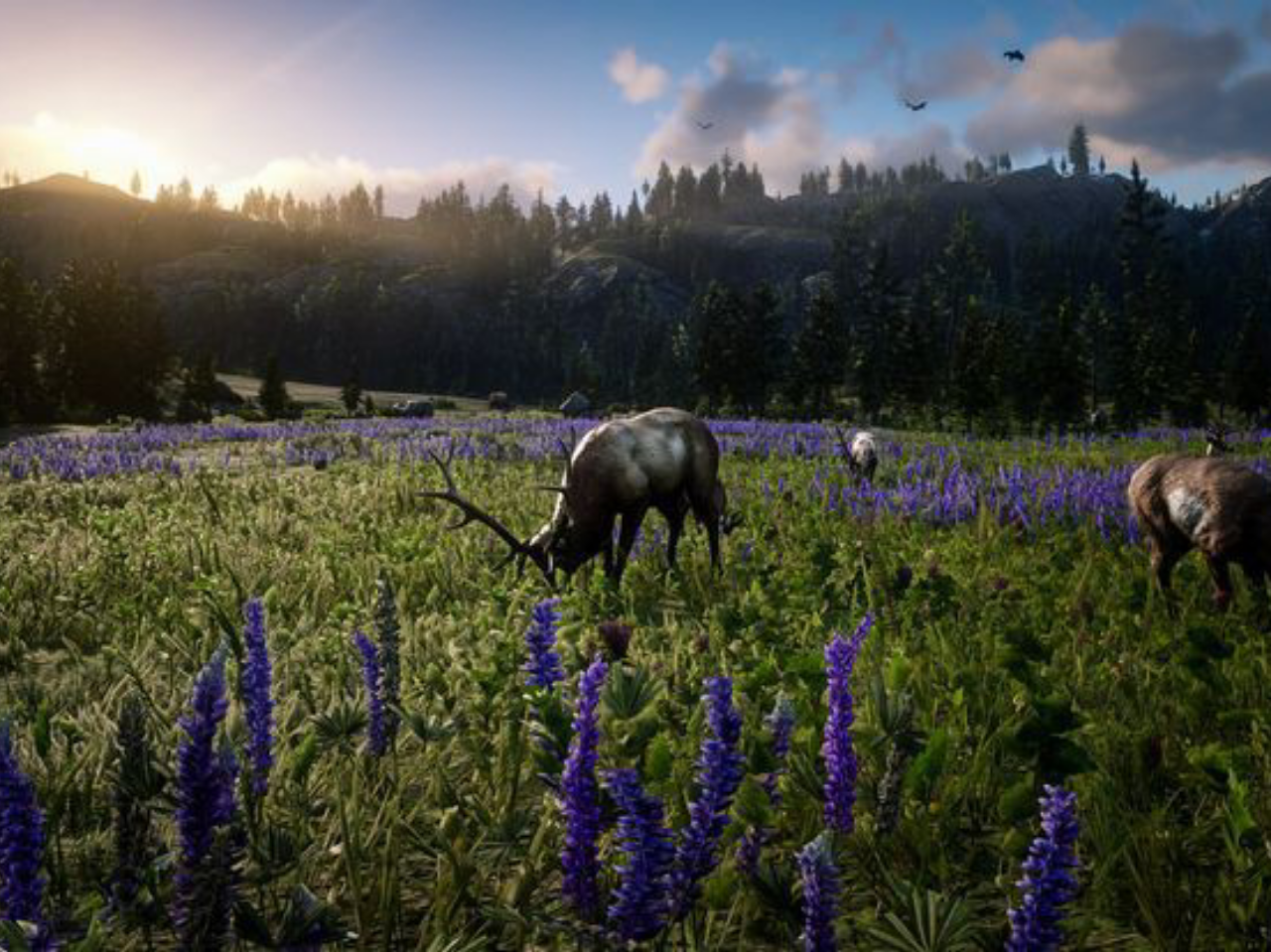 A picture depicting the wildlife in RDR2